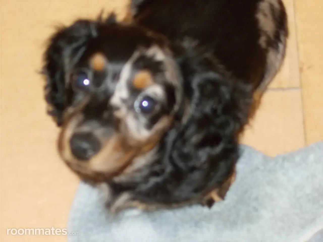 Profile photo 8 of 12