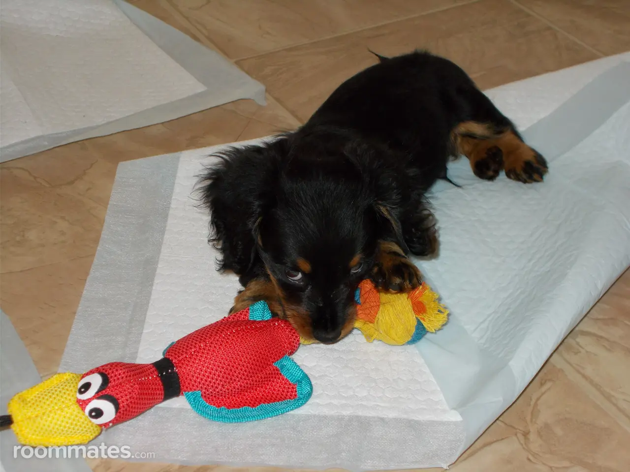 Profile photo 7 of 12