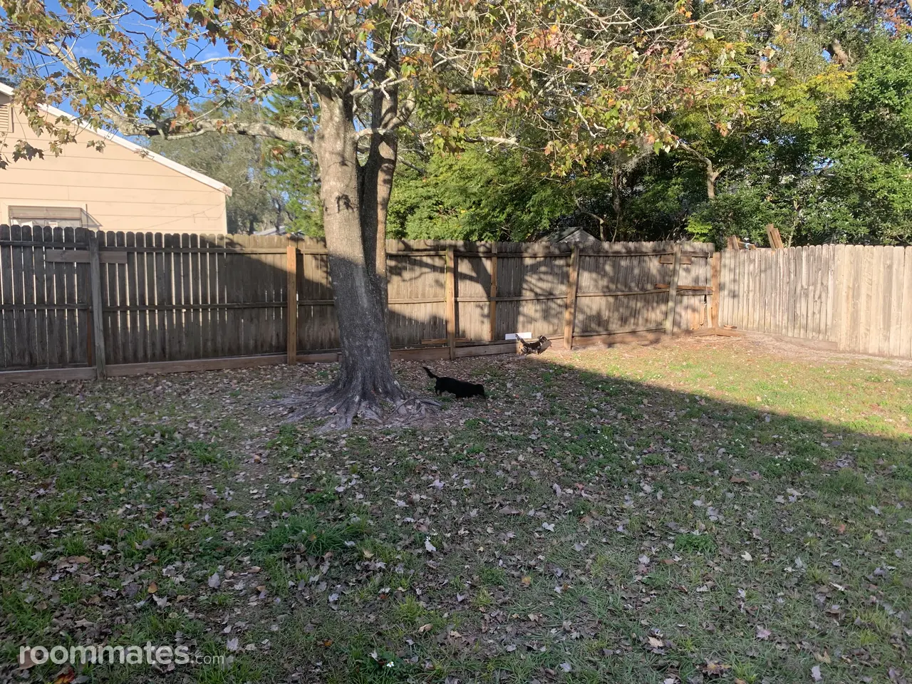 Profile photo 4 of 12