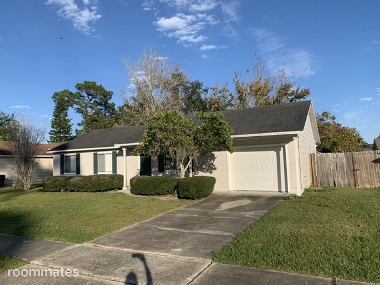 Profile photo 6 of 12