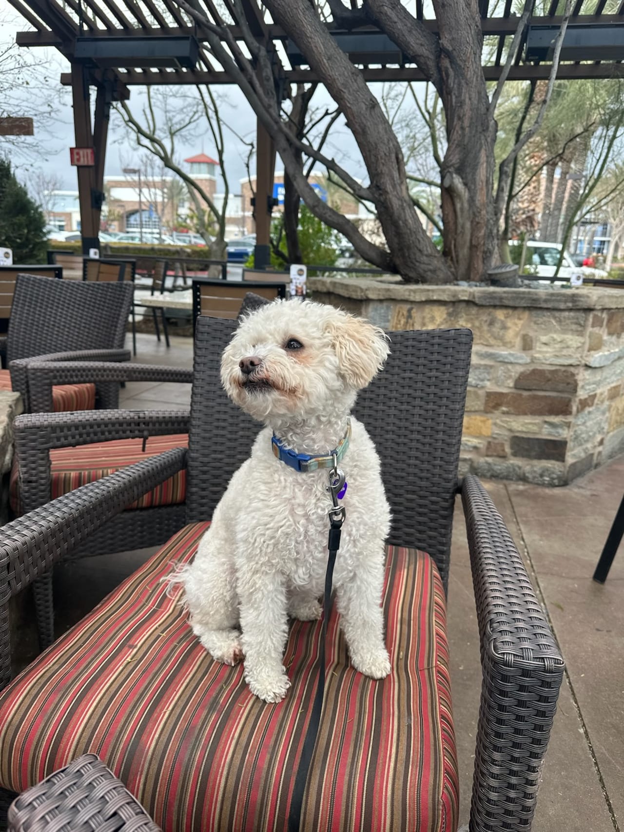 Profile photo 2 of 2