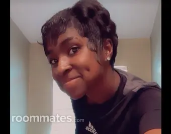 Roommate looking Saint Paul, MN, $1100