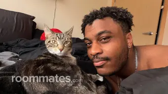 Roommate looking Minneapolis, MN, $1100