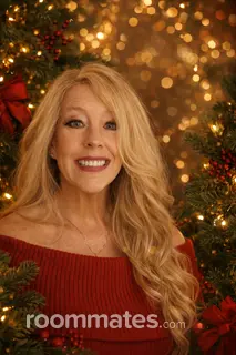 Roommate looking Plano, TX, $500