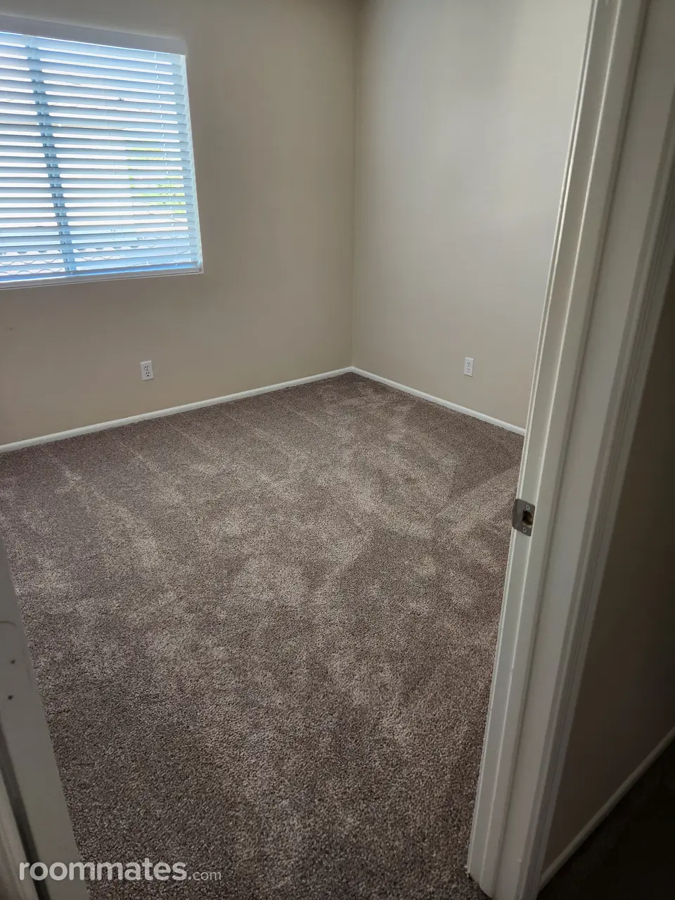 Profile photo 10 of 14