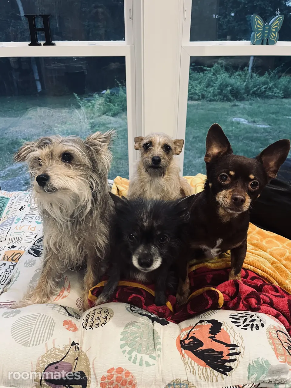 Profile photo 6 of 12