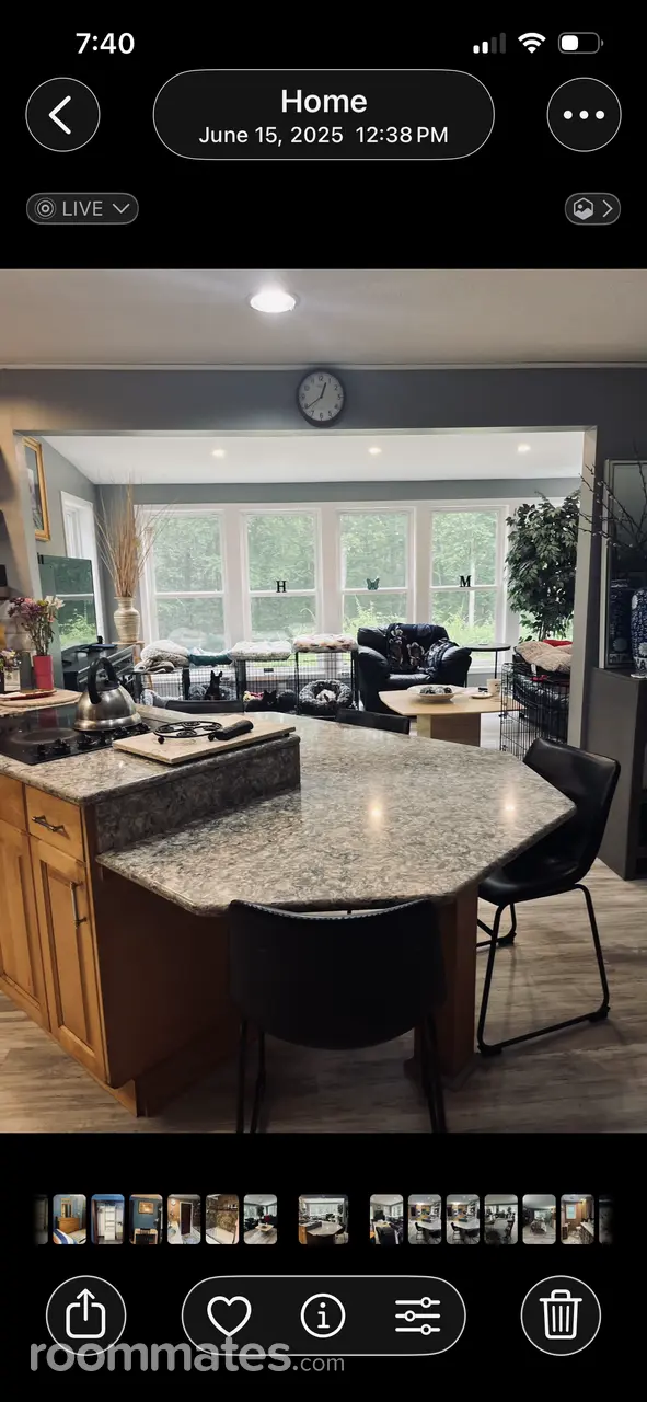 Profile photo 11 of 12