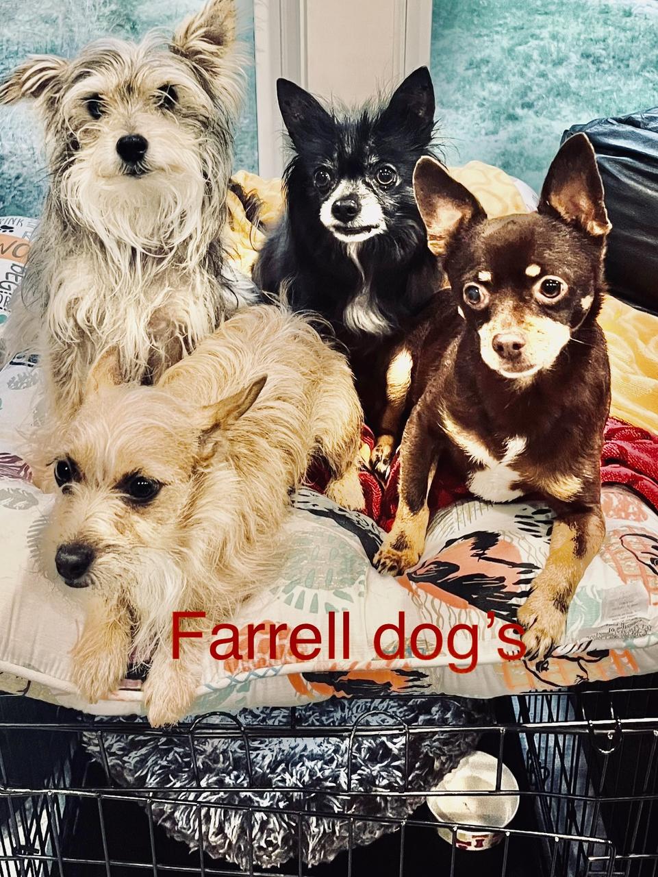 Profile photo 8 of 8