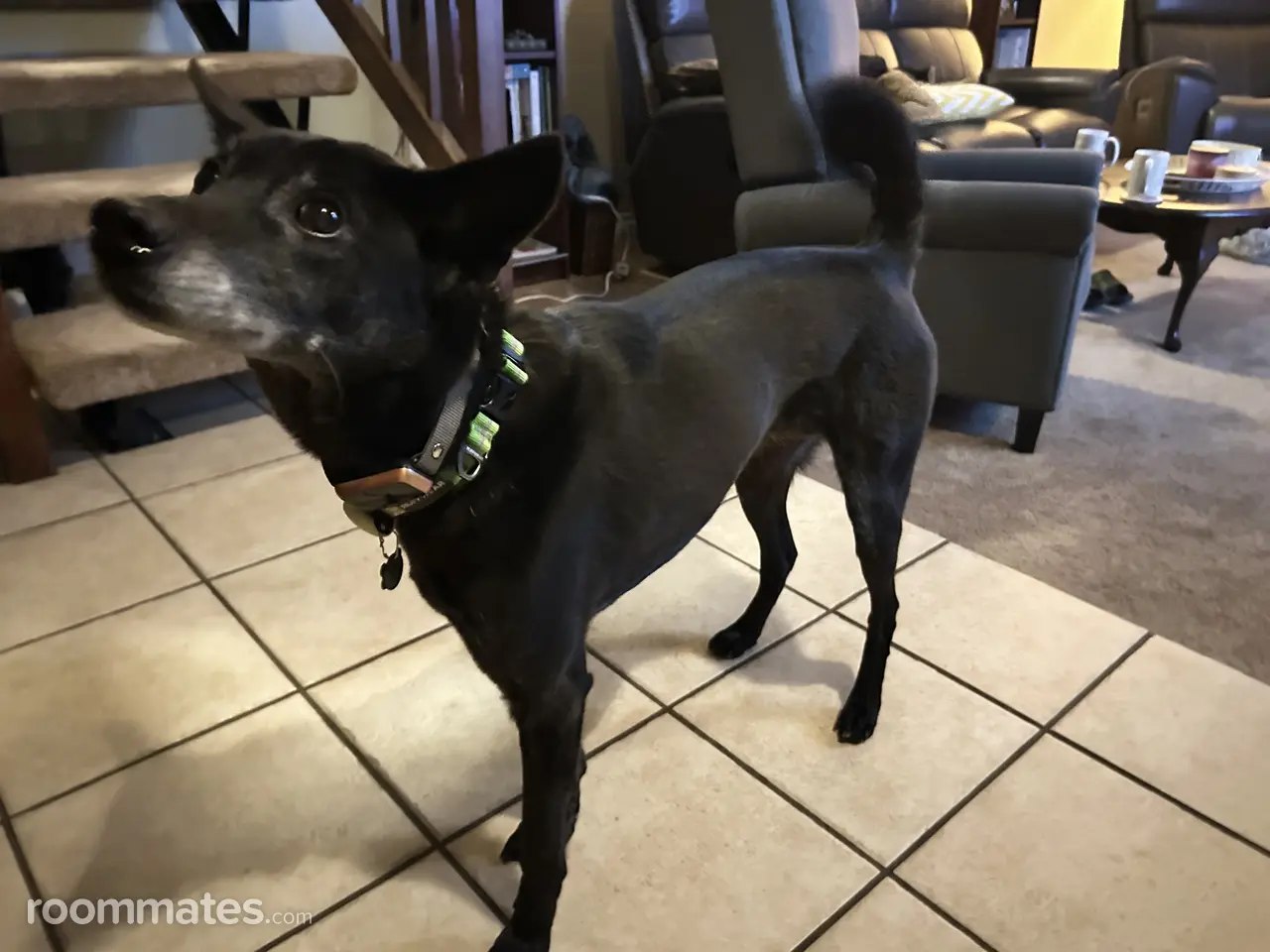 Profile photo 1 of 1