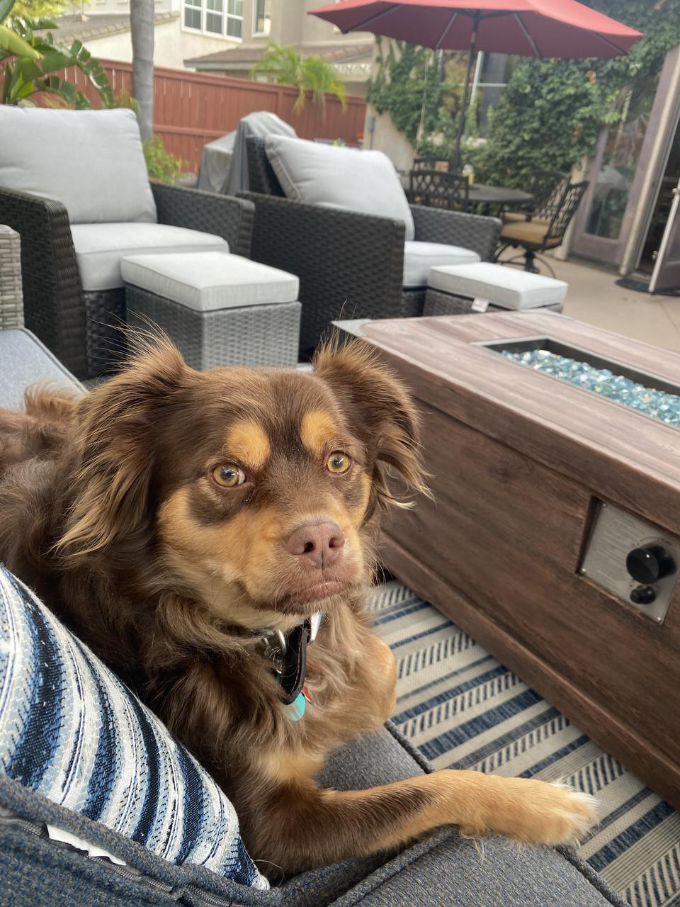 Profile photo 8 of 9