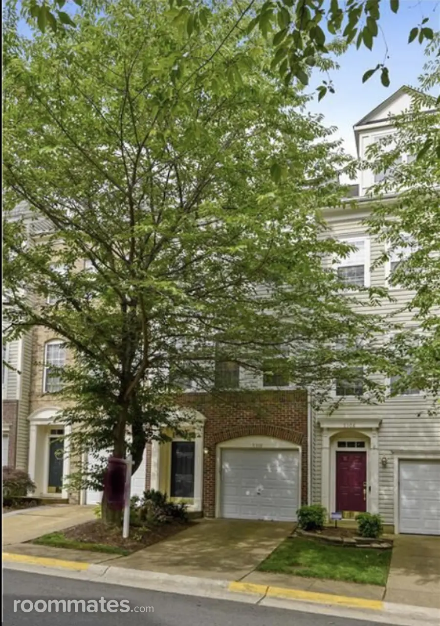 Profile photo 10 of 11