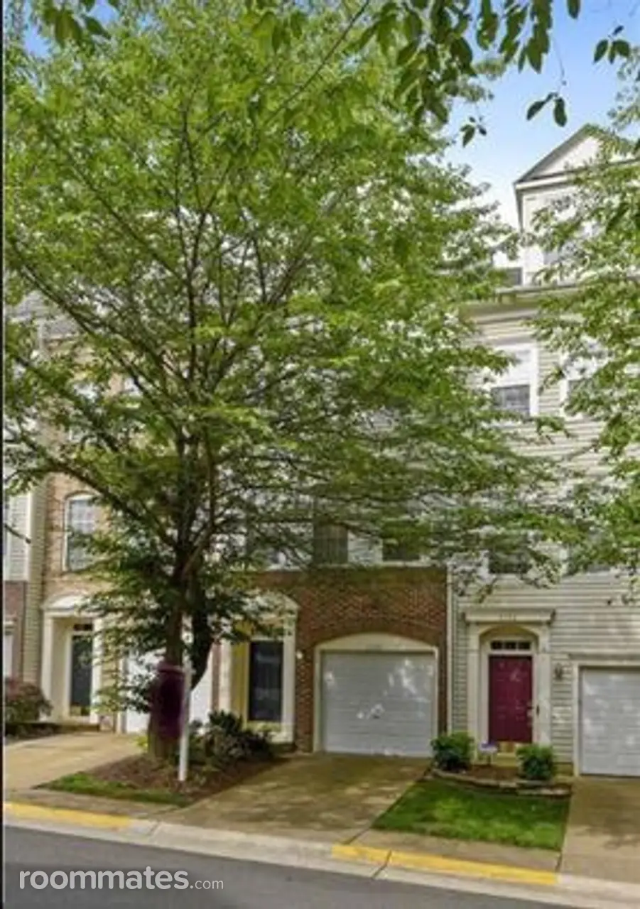 Profile photo 2 of 11