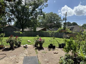 Room for rent in Memphis, TN $650, house