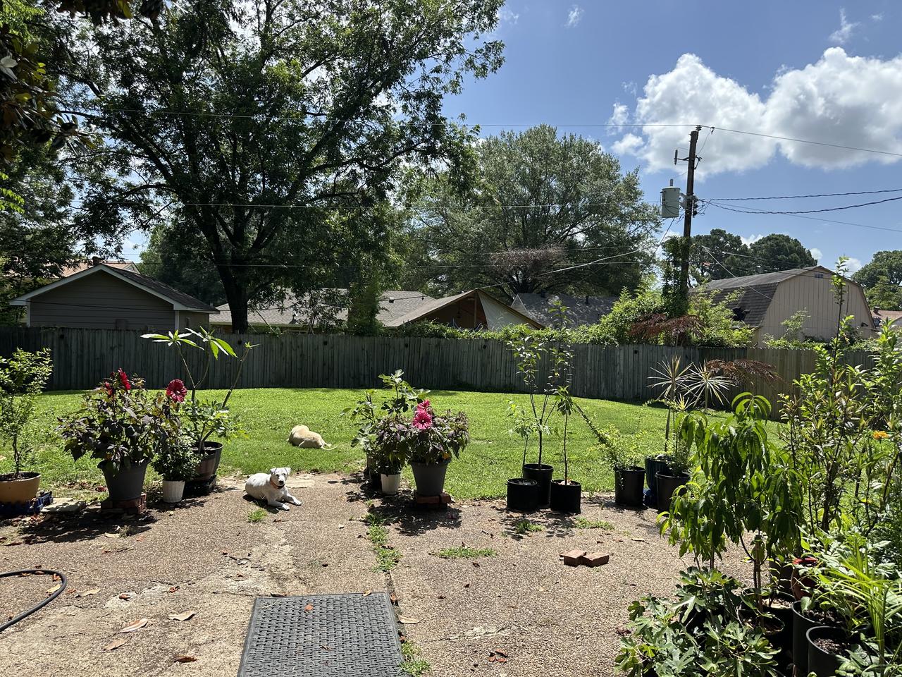 Profile photo 2 of 3