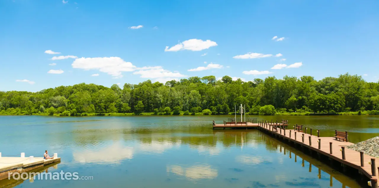 Profile photo 8 of 9