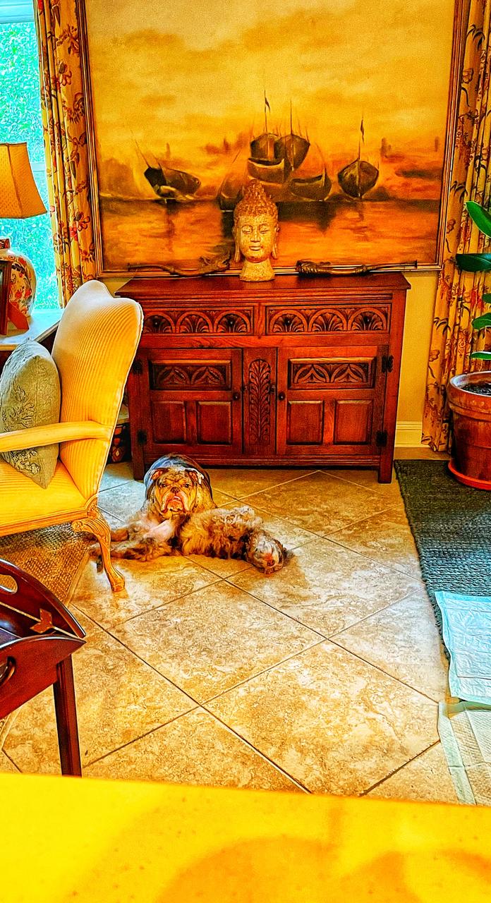 Profile photo 9 of 9