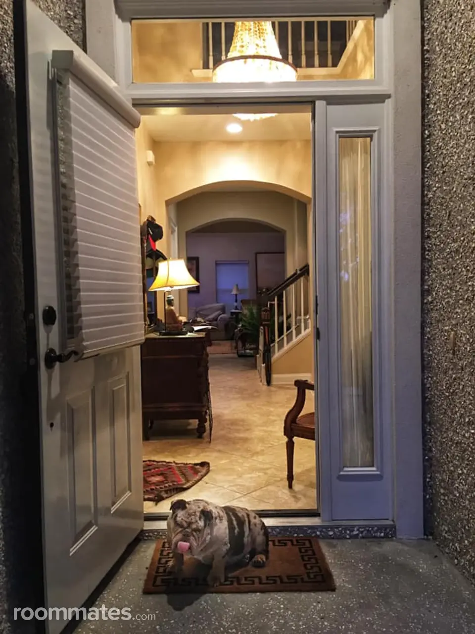 Profile photo 1 of 9