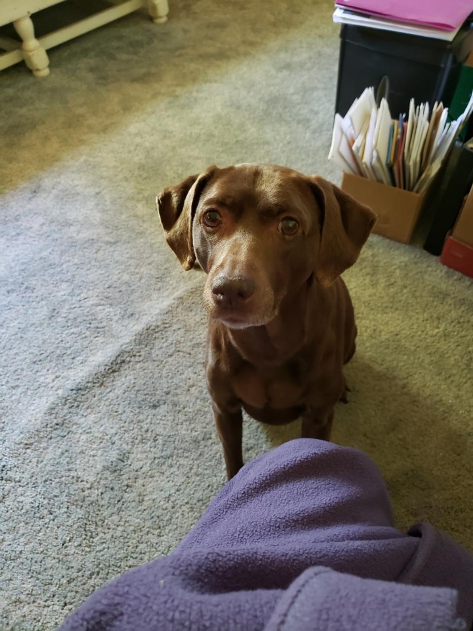 Profile photo 1 of 2