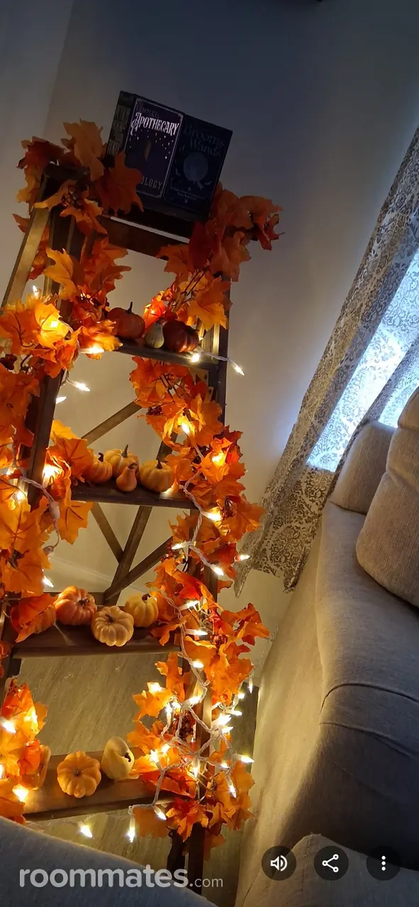 Profile photo 4 of 11