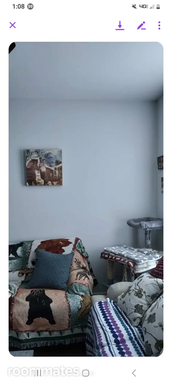 Profile photo 2 of 11