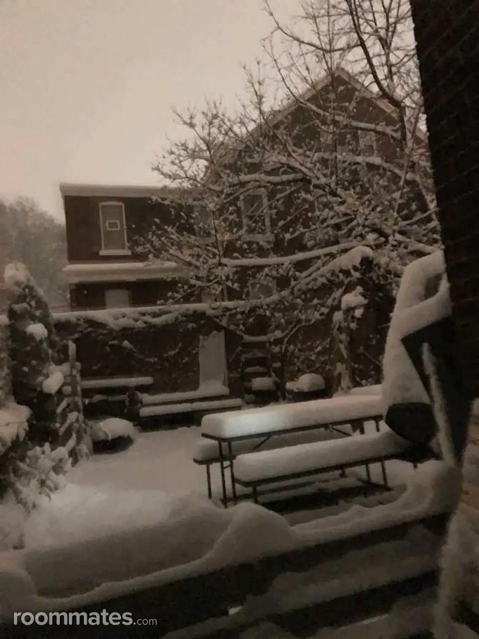 Profile photo 5 of 7