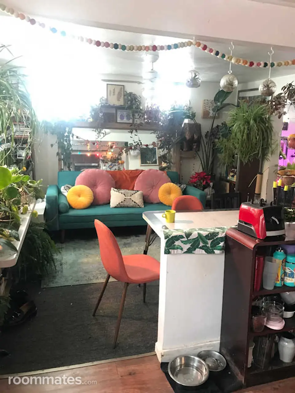 Profile photo 6 of 7