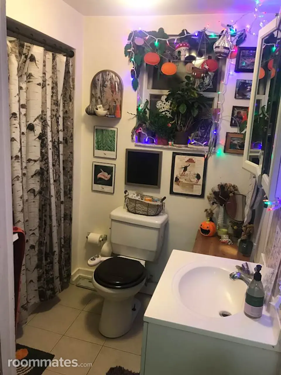 Profile photo 3 of 7