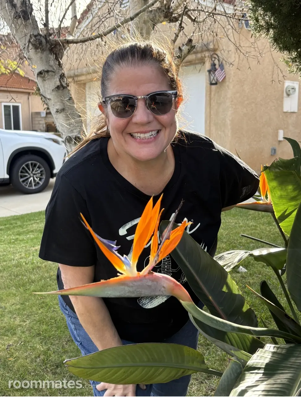 Profile photo 2 of 2