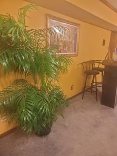 Room for rent in Hampton, GA $900, house