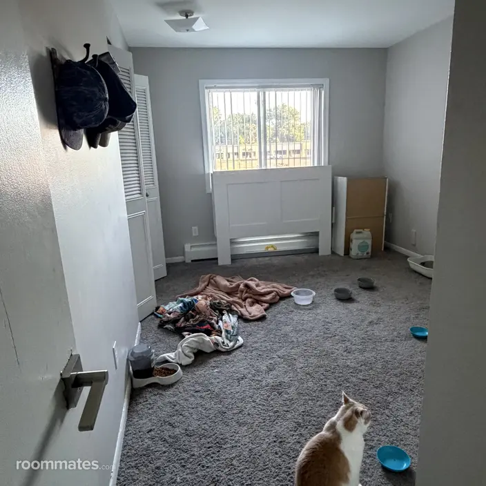 Room for rent in Kalamazoo MI $650, apartment