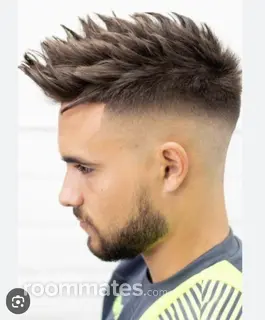 Roommate looking Centreville, VA, $2000