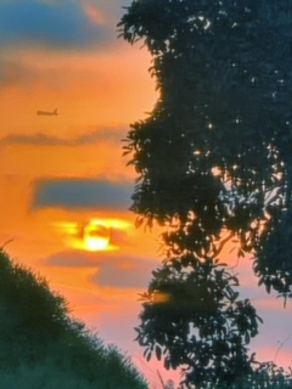 Profile photo 9 of 9