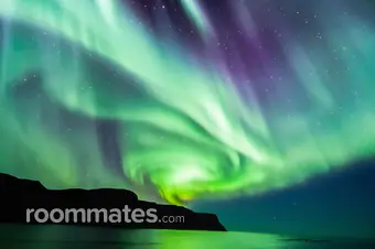 Roommate looking Chatsworth, CA, $1500