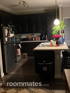 Room for rent in Brandon, FL $1000, apartment