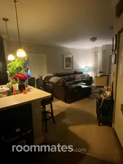Room for rent in Brandon, FL $1000, apartment