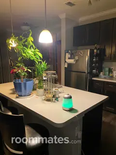 Room for rent in Brandon, FL $1000, apartment