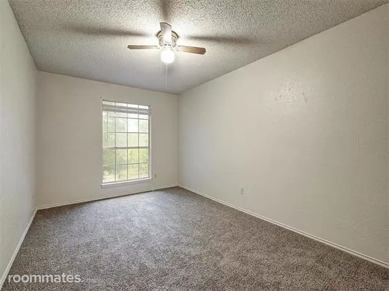 Profile photo 2 of 7