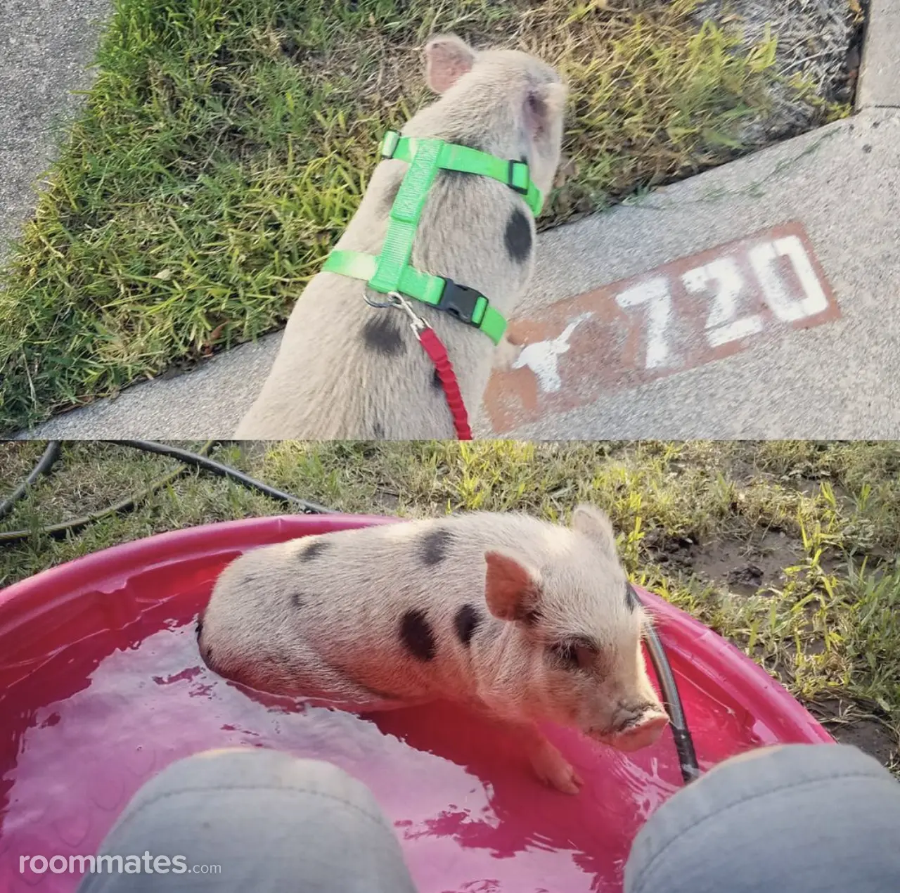 Profile photo 6 of 7