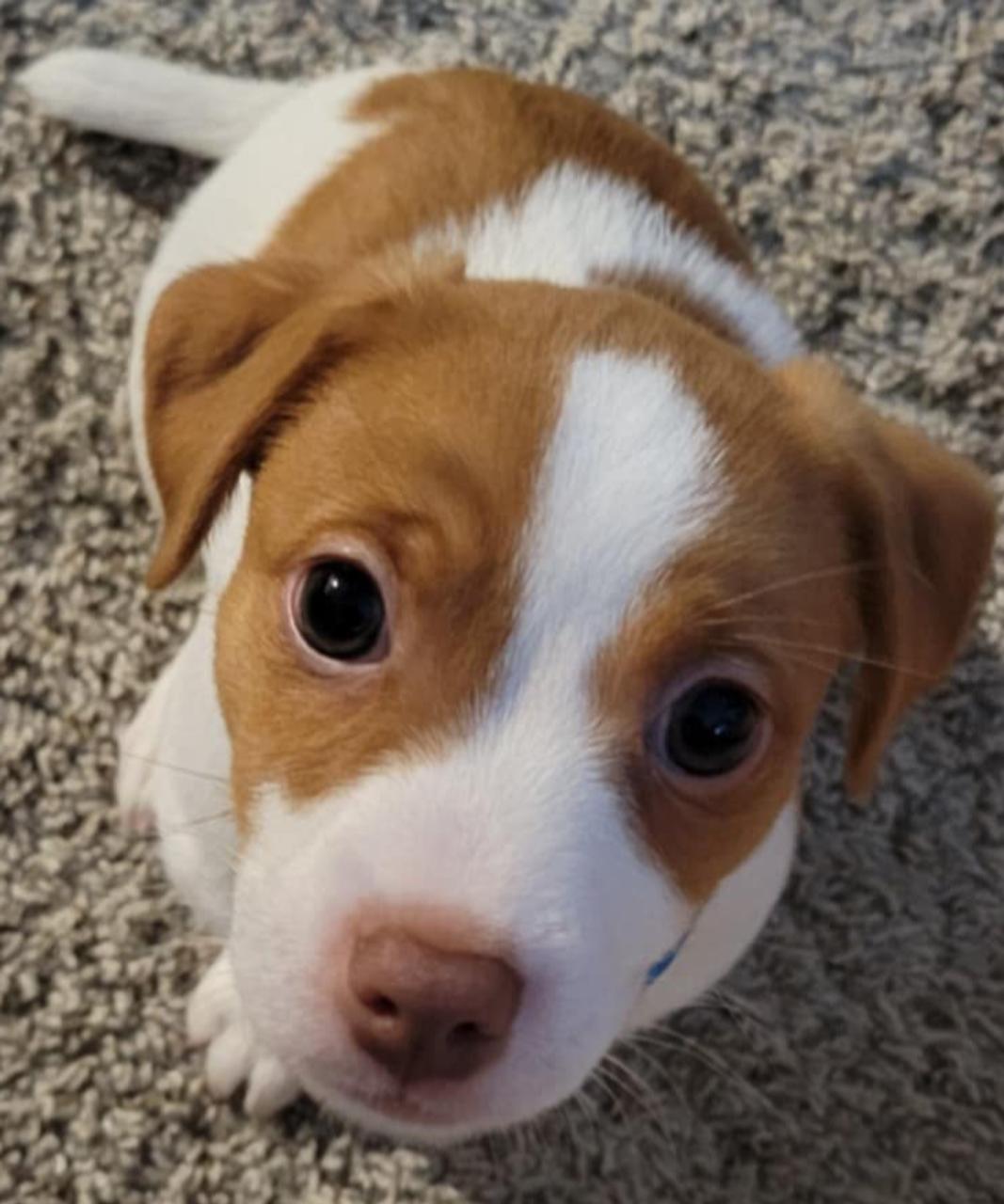 Profile photo 2 of 5