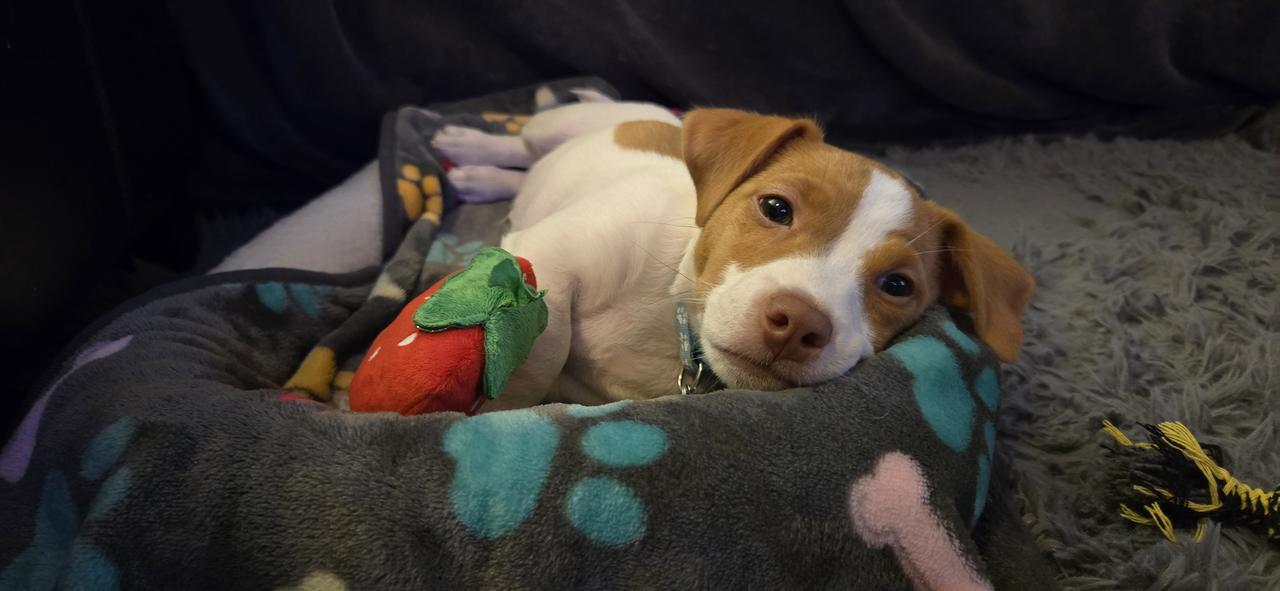 Profile photo 5 of 5