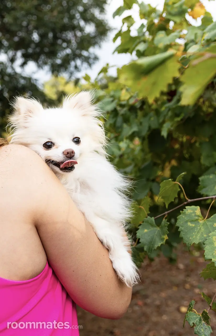 Profile photo 8 of 12