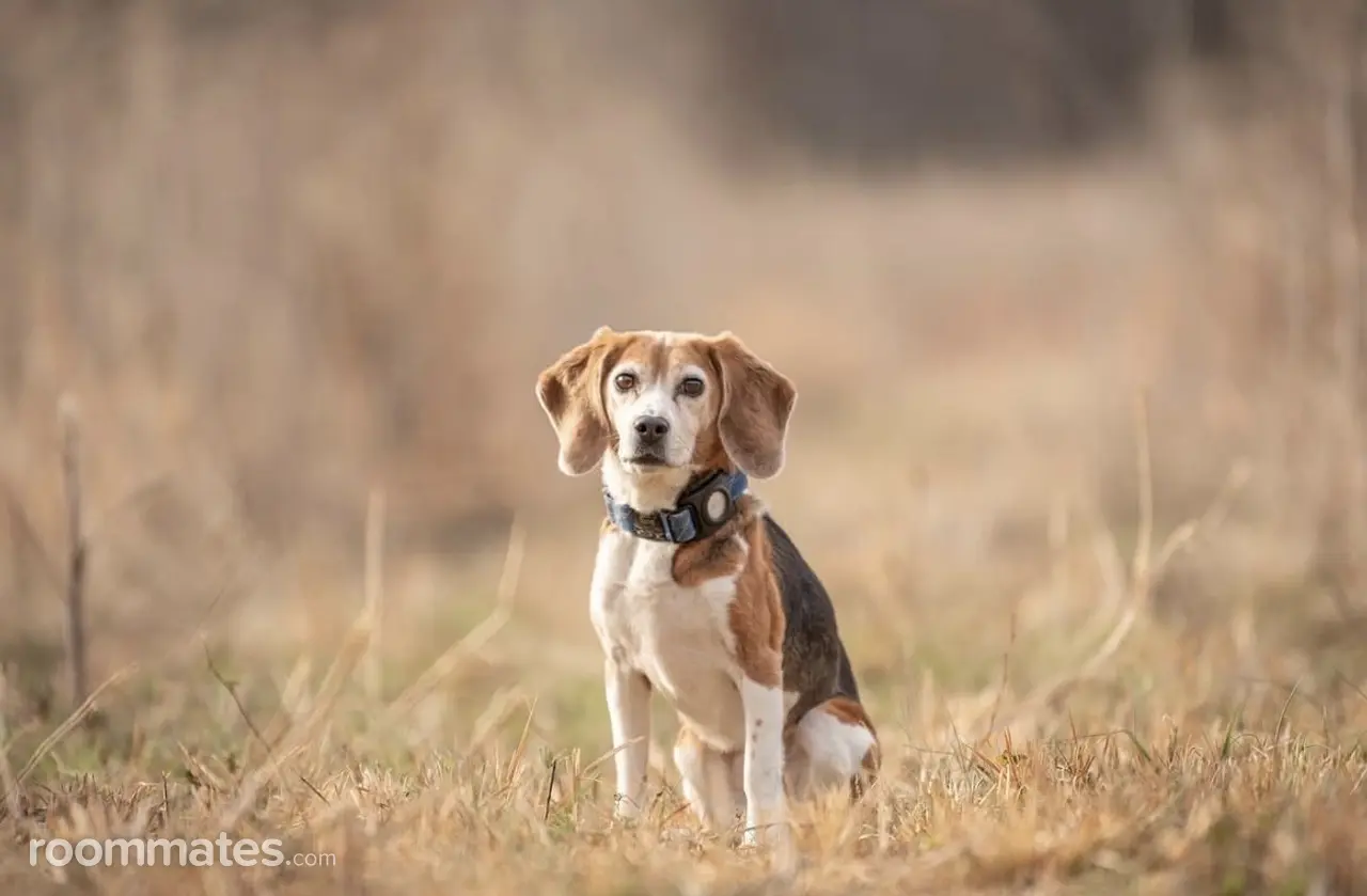 Profile photo 7 of 12