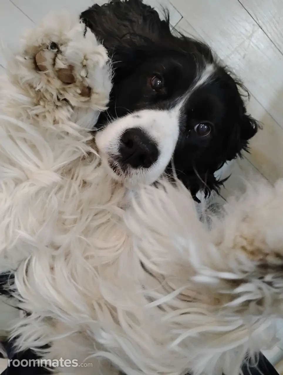 Profile photo 1 of 11