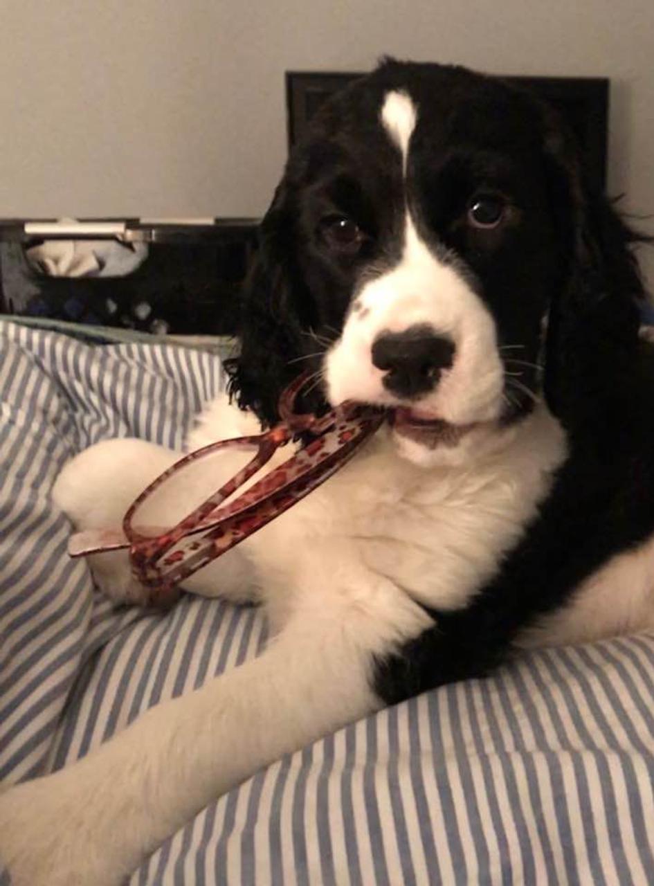 Profile photo 2 of 11