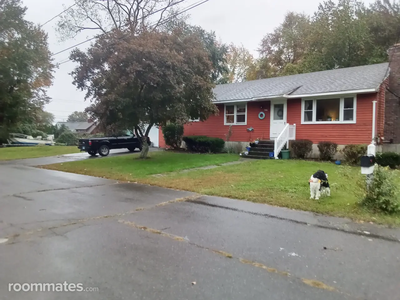 Profile photo 11 of 11