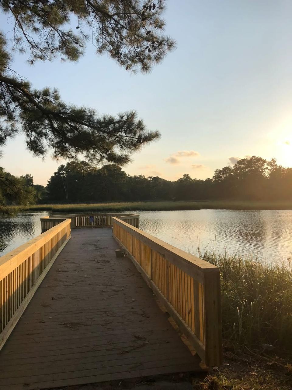 Profile photo 10 of 11