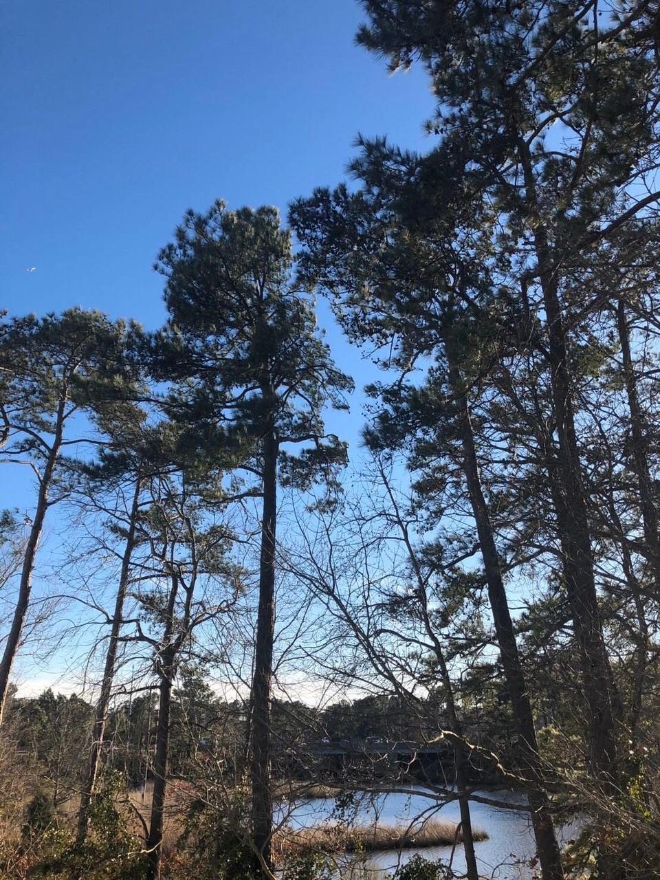 Profile photo 9 of 11