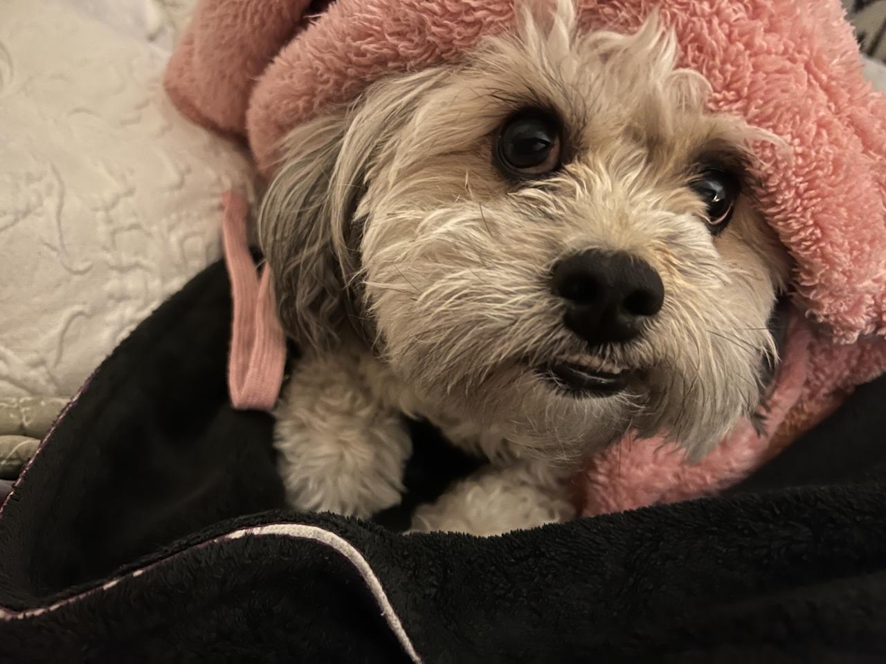 Profile photo 2 of 2