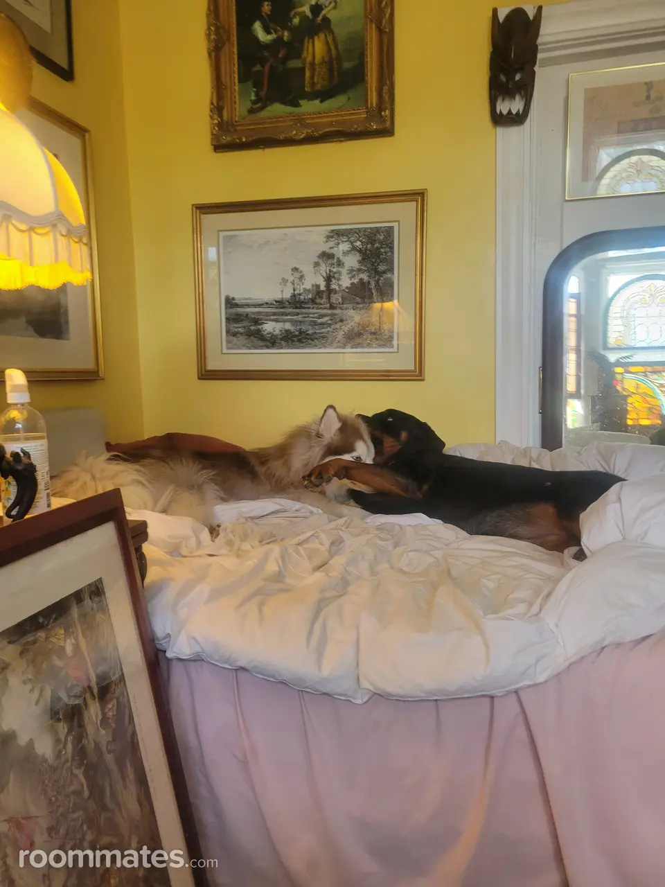 Profile photo 2 of 2