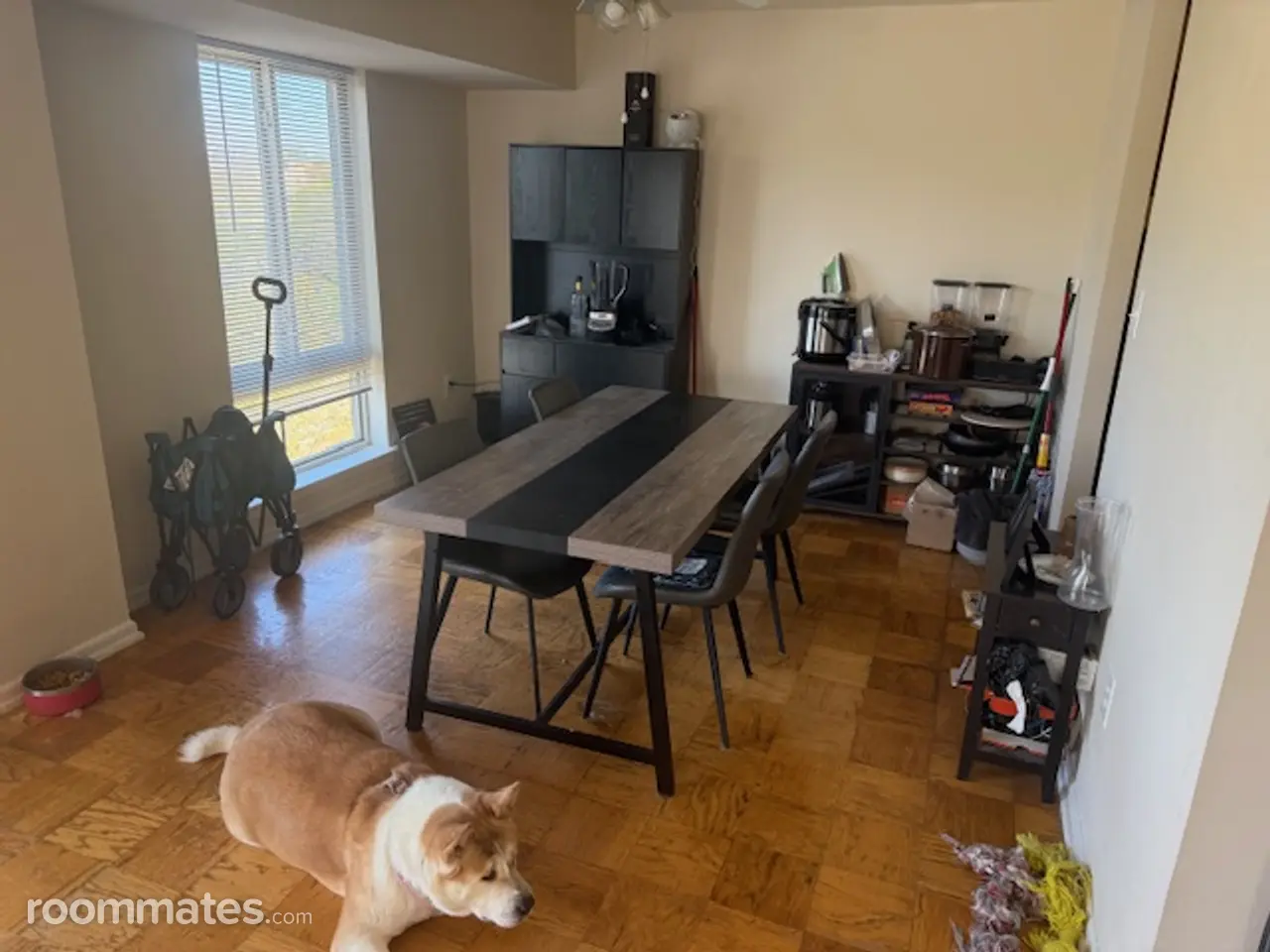 Profile photo 4 of 15